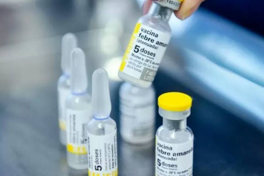 Fiebre amarilla: ante el brote detectado en Bolivia, realizan una vacunación focalizada en Salta