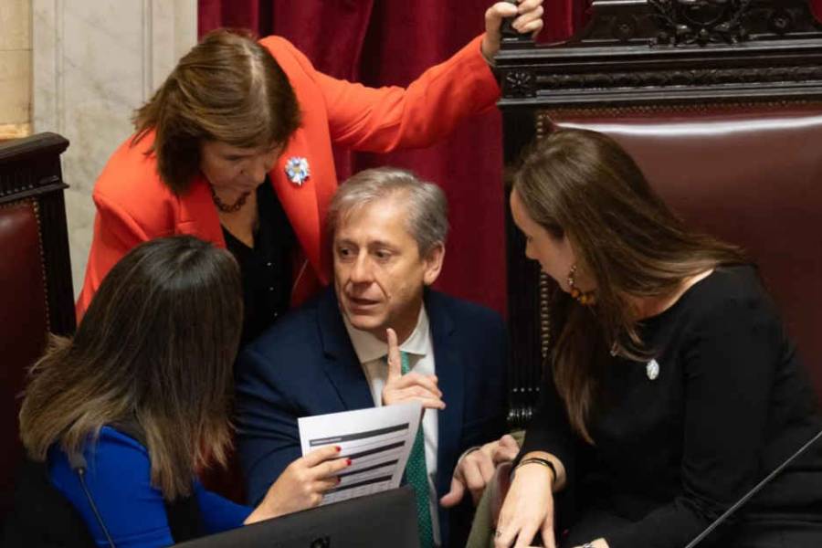 Senado: con apoyo del peronismo y dialoguistas se aprobó el pliego de Verónica Michelli pese al veto del Gobierno