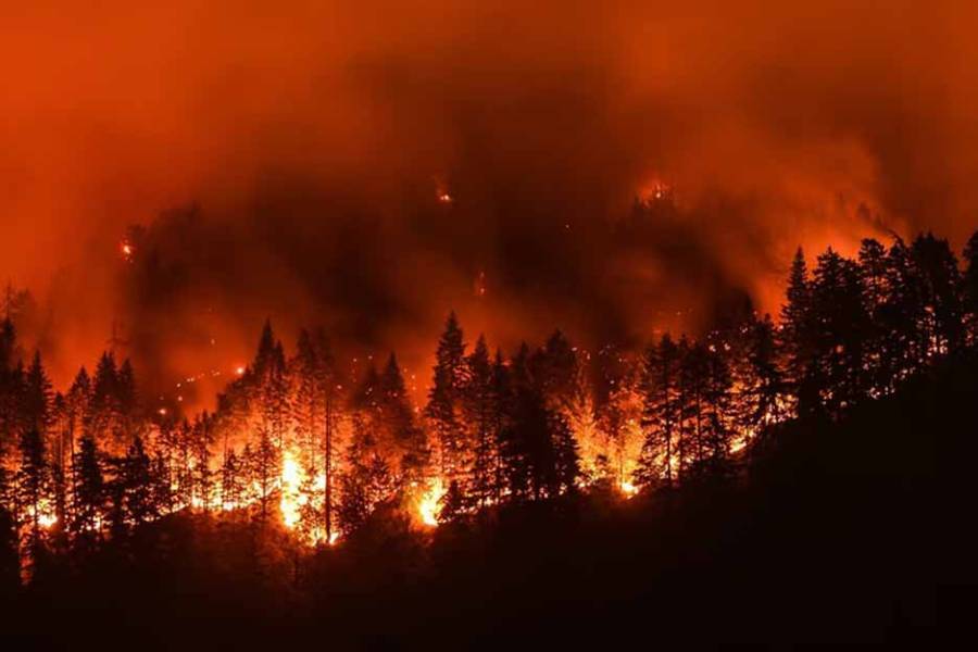 California: un incendio forestal arrasó más de 800 hectáreas