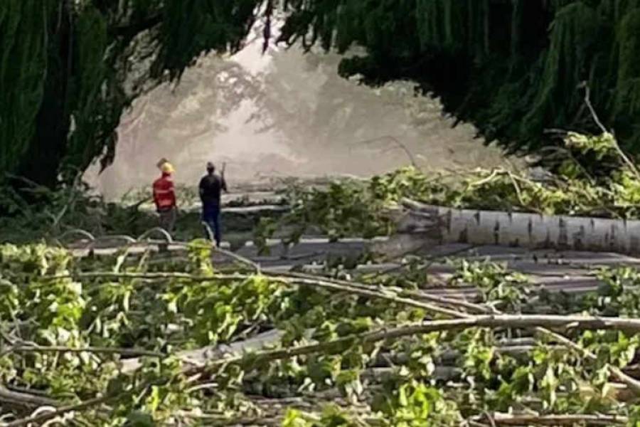 Mendoza: el viento Zonda causó graves daños