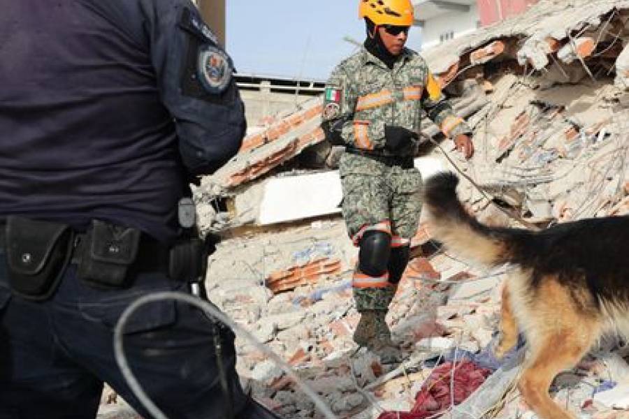 Terremotos en Venezuela: tras nuevas réplicas, continúan los operativos de rescate en el país