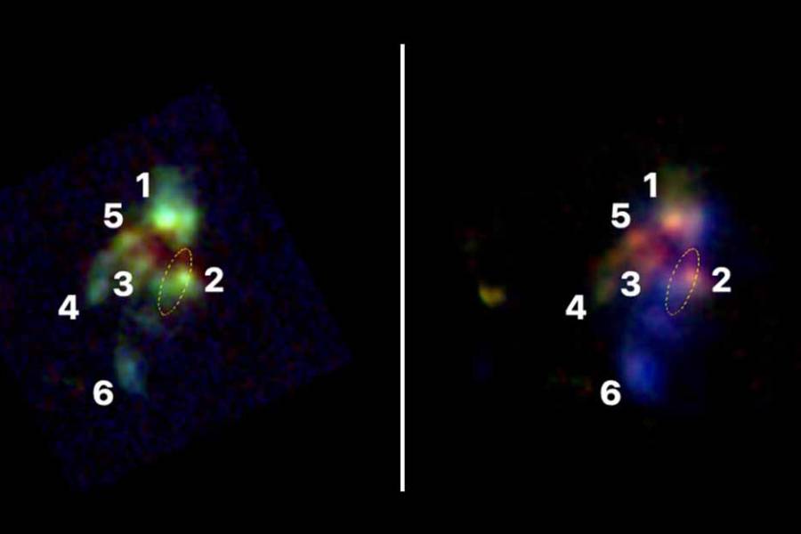 Científicos lograron observar cómo se fusionaron las galaxias más masivas del Universo