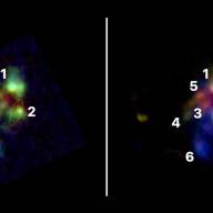 Científicos lograron observar cómo se fusionaron las galaxias más masivas del Universo