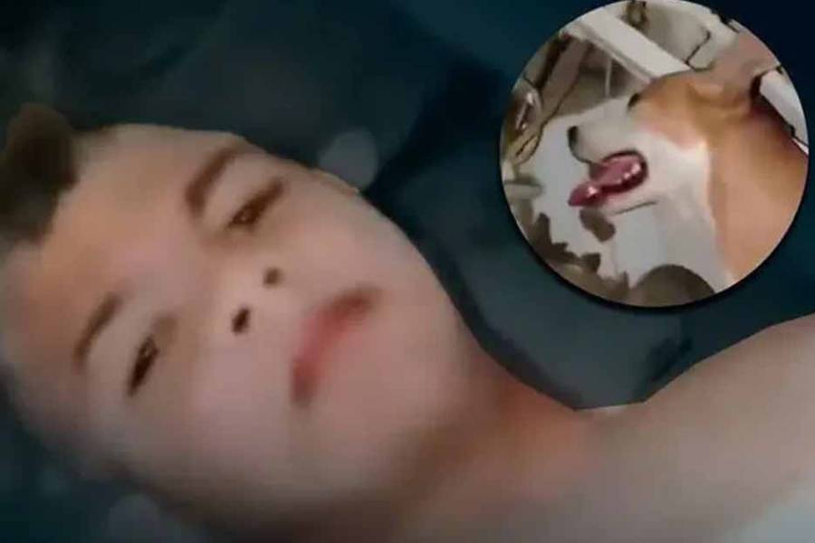 La Guaira. Rescatan a niño tras 14 días bajo los escombros en Venezuela: “Mi perro me lamía cuando yo me desmayaba”