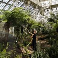Confirmaron la causa de la extinción masiva más importante del mundo, que fue hace 252 millones de años