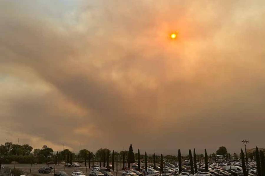 España enfrenta el incendio forestal más grande de su historia: más de 100.000 afectados
