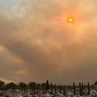 España enfrenta el incendio forestal más grande de su historia: más de 100.000 afectados