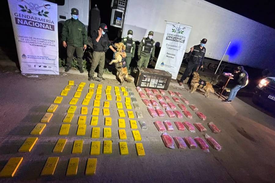 Gendarmería incautó casi 70 kilos de cocaína y más de 113 kilos de marihuana ocultos en un camión