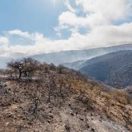El incendio en El Rodeo permanece contenido y bajo monitoreo permanente