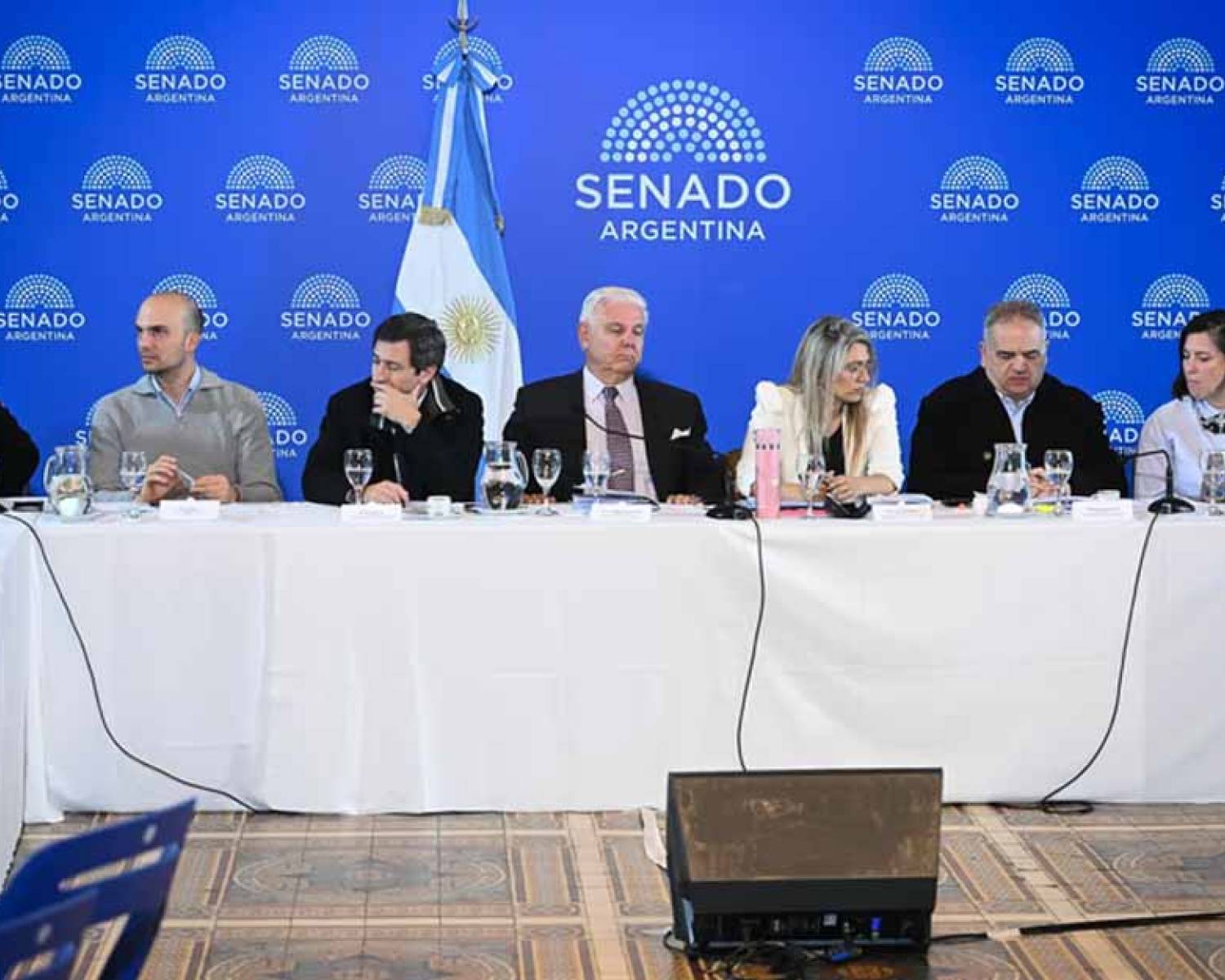 Senado: LLA quiere emitir dictamen del Súper RIGI, pero los aliados reclaman cambios para dar su apoyo
