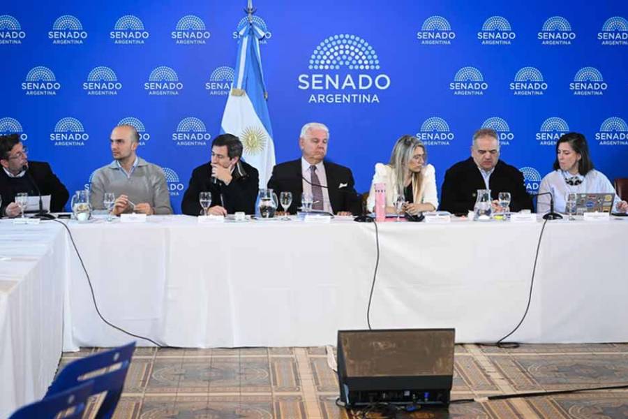 Senado: LLA quiere emitir dictamen del Súper RIGI, pero los aliados reclaman cambios para dar su apoyo
