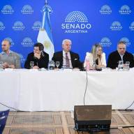 Senado: LLA quiere emitir dictamen del Súper RIGI, pero los aliados reclaman cambios para dar su apoyo