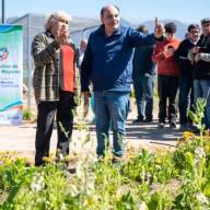 Saadi puso en marcha una huerta terapéutica y urbana en la Capital