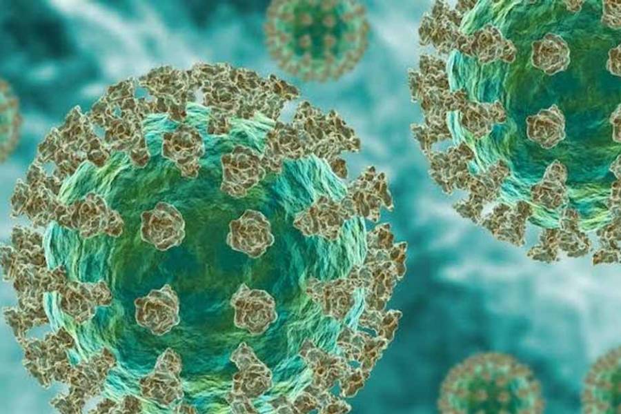 Argentina detectó los primeros casos de la variante BA.3.2 de COVID: qué se sabe