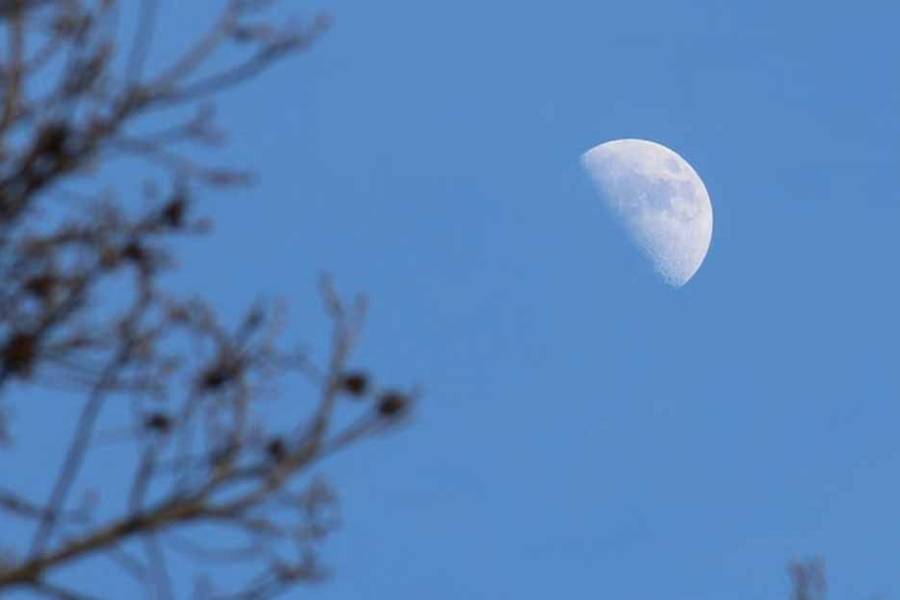 Este sábado tenés que mirar la Luna: la NASA explica por qué