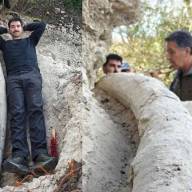 Hallan el colmillo más largo de un mastodonte de 500 mil años en San Pedro: cuánto mide