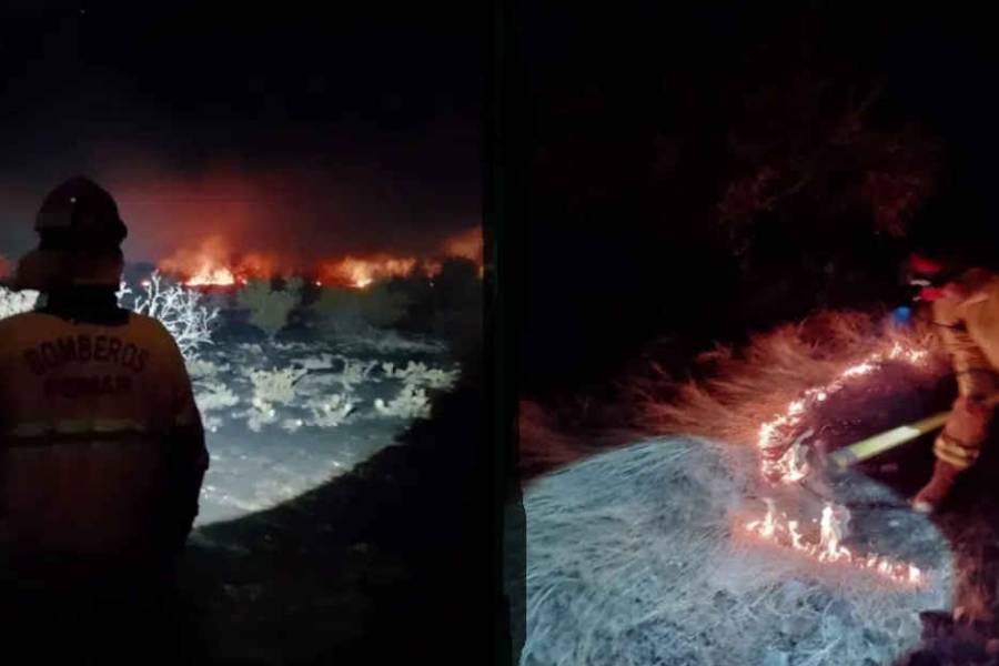Pomán: Bomberos sofocaron un incendio de maleza a la vera de la Ruta 46