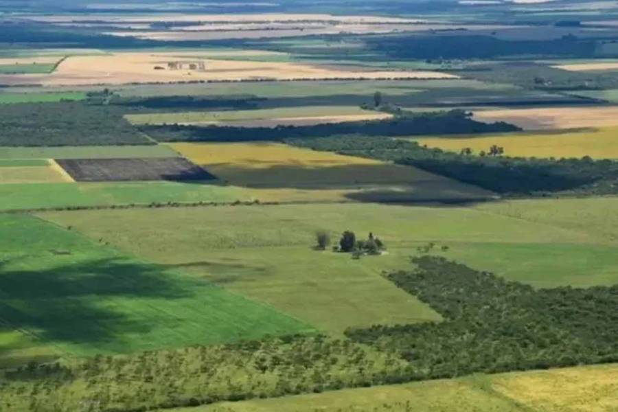 La Corte revocó el fallo que declaraba inconstitucional la derogación de la Ley de Tierras