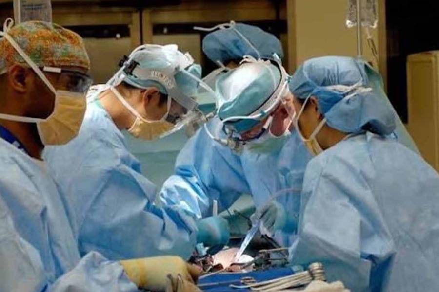 Casi el 80 por ciento de los médicos matriculados está en actividad