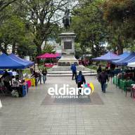 Día de la Madre: La Capital y feriantes llegaron a un acuerdo