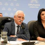 Malvinas en Hamburgo, trabada en Diputados: la Ley de Soberanía sigue sin dictamen