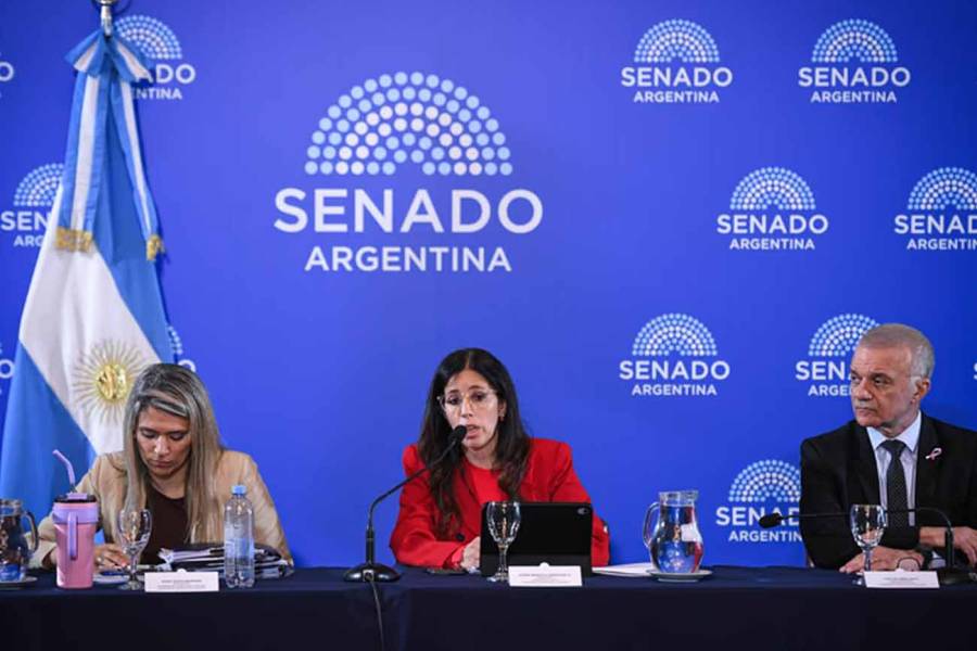 El Senado avanza con la reforma de la Ley de Salud Mental: habilitan internaciones involuntarias y suman adicciones