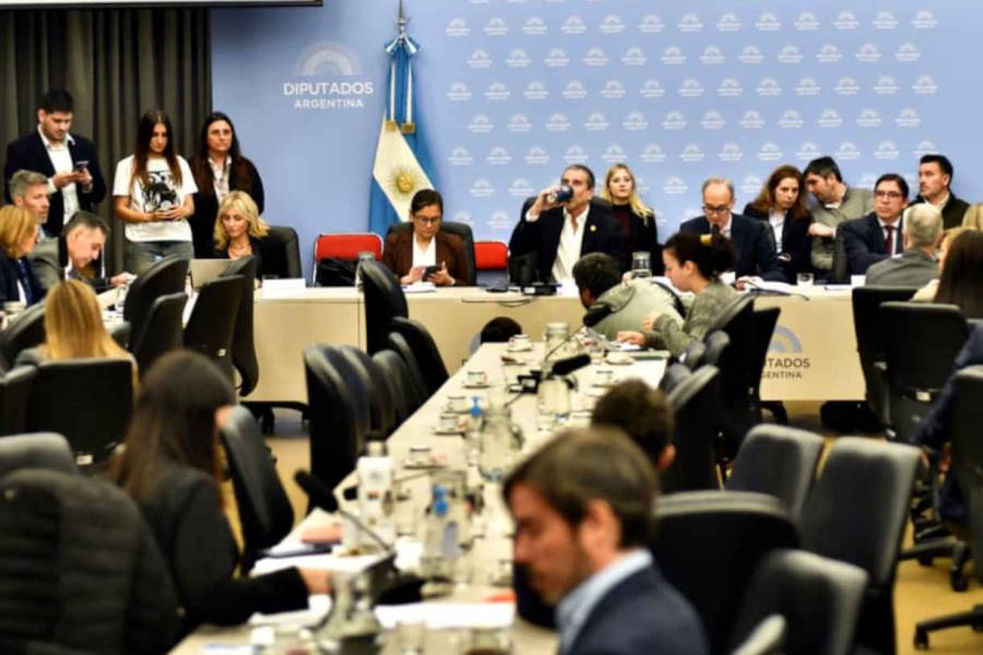 Torrendell defendió el presupuesto universitario: “La autonomía no está en discusión; exigimos gestión responsable”