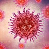 ¿Qué es el virus Shamonda?