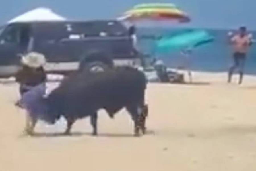 Un toro atacó a una turista en una playa de México y nadie se acercó a ayudarla